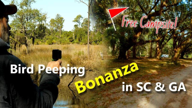 Are we PEEPERS now?!  👀👀Santee Reserve & Skidaway Island  | Truck Camper Travels |E51