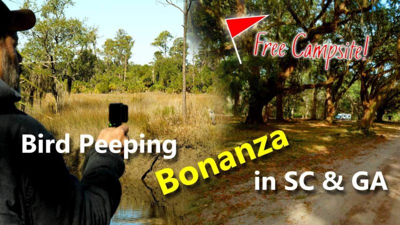 Are we PEEPERS now?! 👀👀Santee Reserve & Skidaway Island | Truck Camper Travels |E51