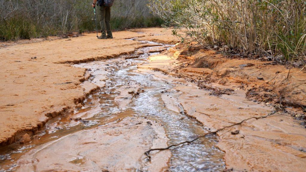 You need waterproof shoes in Providence Canyon